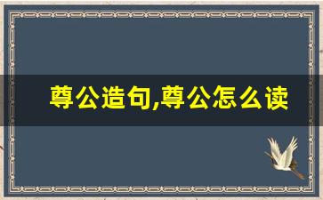 尊公造句,尊公怎么读,尊公的意思,尊公的组词-第1张图片-我的生活随想