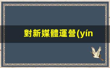 對新媒體運營(yíng)的建議插圖