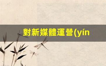 對新媒體運營(yíng)的理解插圖