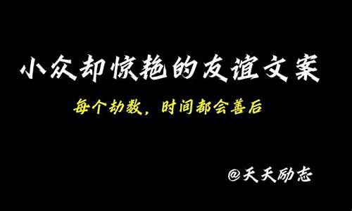 小众却惊艳的友谊文案短句_友谊文案短句温