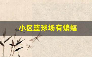 小区有蝙蝠是好现象吗-小区篮球场有蝙蝠