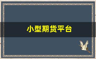 小型期货平台(小型期货交易平台)_https://www.hangfeite.com_上交所_第1张