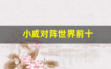 小威对阵世界前十-小威战绩