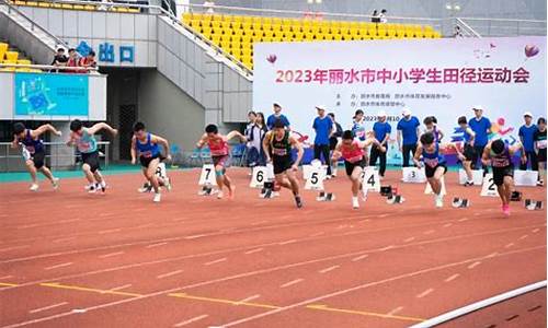 小学生田径运动会秩序册封面_小学生田径运动会秩序册模板