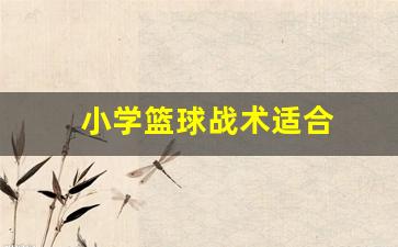小学篮球战术适合-小学生篮球战术基础配合