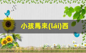 馬來(lái)西亞學(xué)生簽證辦理進(jìn)度追蹤，小孩簽證進(jìn)展達(dá)5%階段更新