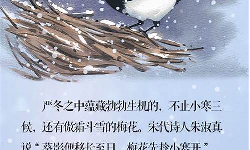 小寒飘雪天气赞诗怎么写_小寒飘雪天气赞诗