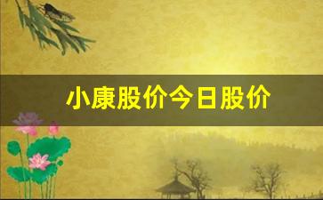 小康股价今日股价(小康股票行情走势)_https://www.hn-life.com_科创板_第1张