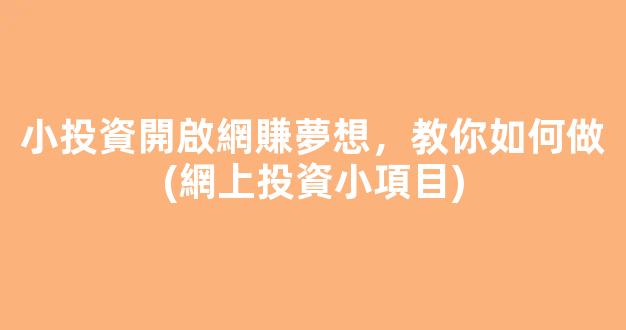 小投資開啟網賺夢想，教你如何做(網上投資小項目) - 嚴選資源大全
