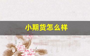 小期货怎么样(小期货平台手续费很低)_https://www.eamstsz.com_深交所_第1张