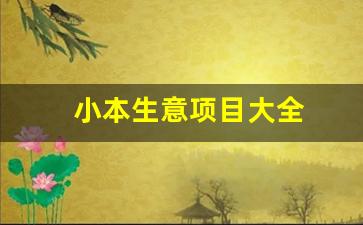 小本生意项目大全(人气不旺的地方开什么店)_https://www.lclxwz.com_郑商所_第1张
