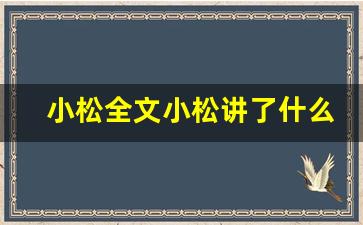 小松全文小松讲了什么,小松经典句子-第1张图片-我的生活随想