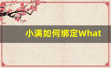 小满如何绑定WhatsApp