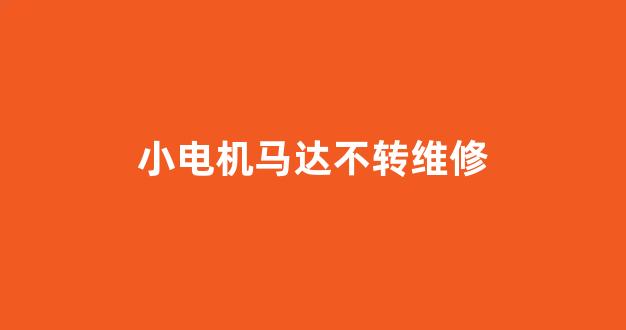 小电机马达不转维修(小马达不动了怎么修)_https://www.qgjzrcxxzxpt.com_郑商所_第1张