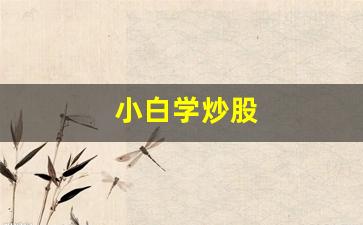 小白学炒股(小白学炒股视频教程)_https://www.haiwangdasha.com_北交所_第1张