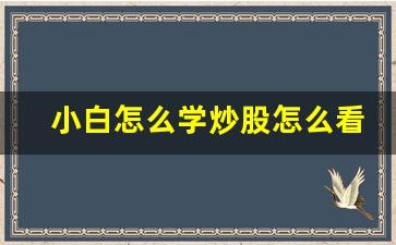 小白怎么学炒股怎么看股市(小白怎么学股票)_https://www.eamstsz.com_创业板_第1张