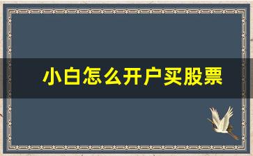 小白怎么开户买股票(小白买股票能赚钱吗)_https://www.qldgs.com_黄金期货_第1张