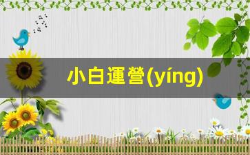 小白運營(yíng)短視頻怎么做插圖