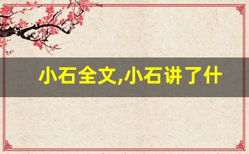 小石全文,小石讲了什么,小石经典句子-第1张图片-我的生活随想