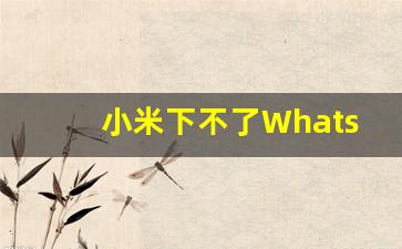 小米下不了WhatsApp