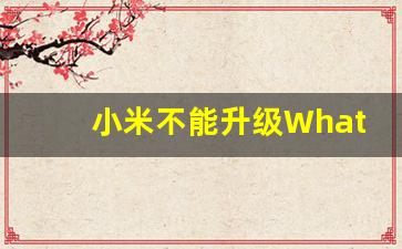小米不能升级WhatsApp