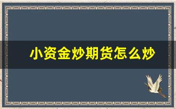 小资金炒期货怎么炒(小资金做期货做哪个品种)_https://www.taocizhiliang.com_效果图_第1张