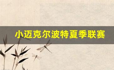 小迈克尔波特什么水平-小迈克尔波特夏季联