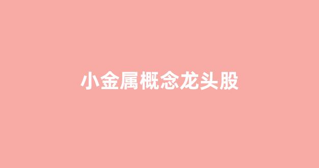 小金属概念龙头股(小金属龙头业绩预增逾800%)_https://www.wguangz.com_上期所_第1张