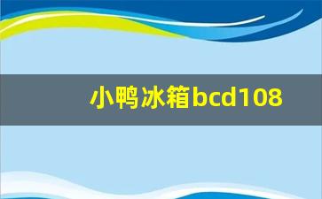 小鸭冰箱bcd108-小鸭冰箱bcd58A118B出厂