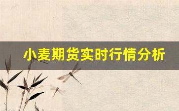 小麦期货实时行情分析图最新(小麦期货实时行情分析图最新消息)_https://www.erdeww.com_期货资讯_第1张