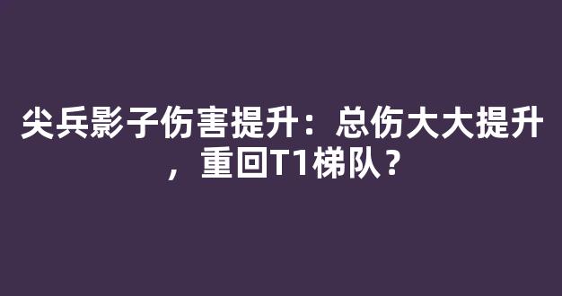 尖兵影子伤害提升：总伤大大提升，重回T1梯队？