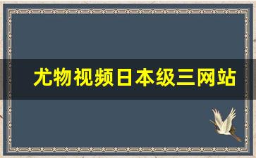 尤物视频日本级三网站 (2)
