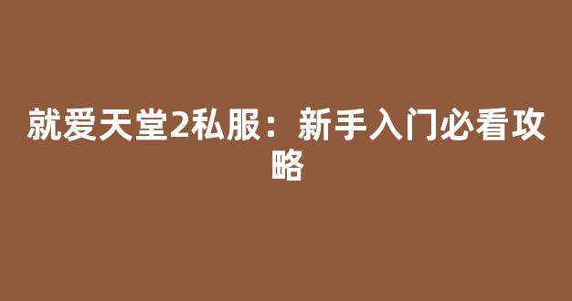 就爱天堂2私服：新手入门必看攻略