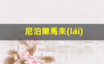 尼泊爾馬來(lái)西亞簽證(尼泊爾簽證辦理流程)