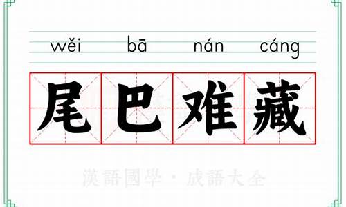 尾巴打一生肖_尾巴难藏正确生肖