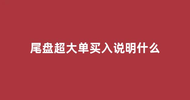尾盘超大单买入说明什么(尾盘超大单卖出说明什么)_https://www.hn-life.com_上交所_第1张