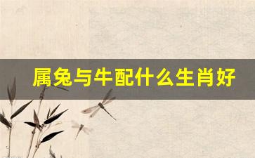 属兔与牛配什么生肖好-属兔与牛配什么生肖好婚姻