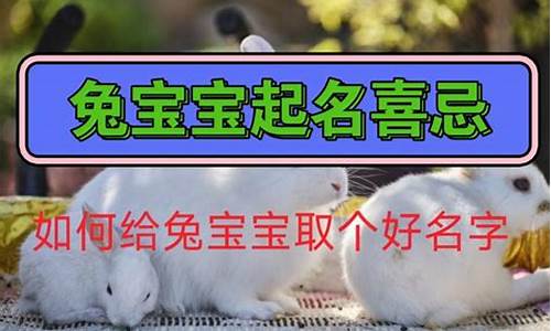 属兔起名忌讳的偏旁字-属兔起名