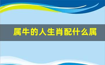 属牛的人配什么生肖比较好-属牛的人生肖配什么属相