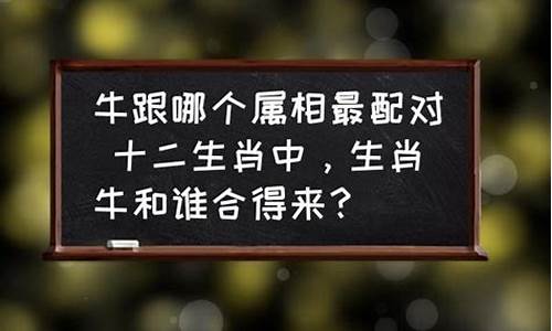 属牛跟哪个生肖配最好-属牛跟哪个生肖配对好