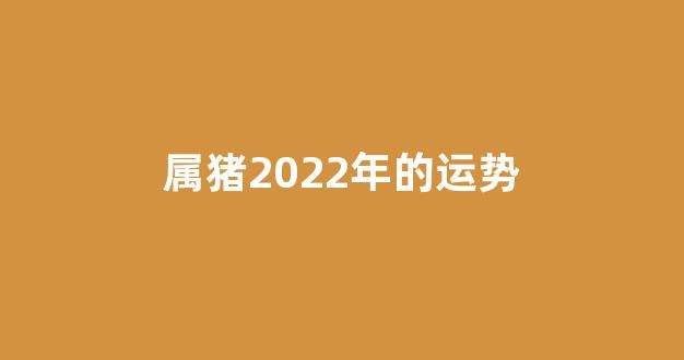 属猪2022年的运势(属猪2022年运势及运程及每月运势)-第1张图片-闻话人