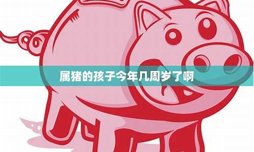 属猪的今年20几岁了-属猪22周岁与什么生肖