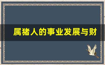 属猪人的事业发展与财富运势