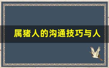 属猪人的沟通技巧与人际关系