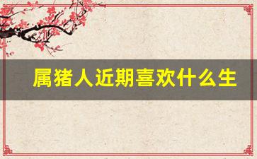 属猪人近期喜欢什么生肖-属猪人近期喜欢什么生肖女