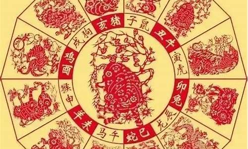 属猪人逢十二生肖年运-属猪人遇什么年财运最旺