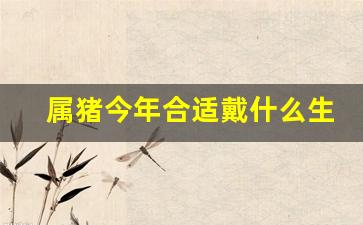 属猪今年合适戴什么生肖-属猪今年戴什么招财