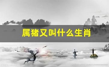 属猪的是什么生肖-属猪又叫什么生肖