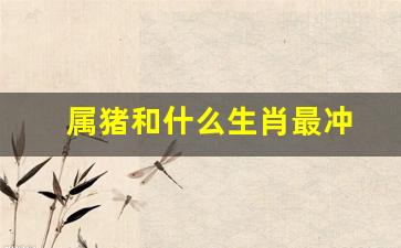属猪和什么生肖最冲-属猪跟什么属相冲