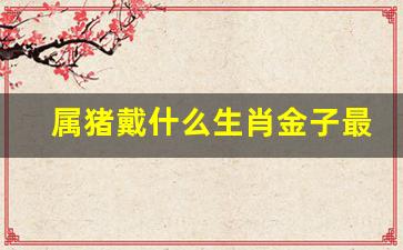 属猪戴什么生肖金子最好-属猪戴什么生肖金子最好呢